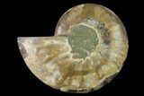 Agatized Ammonite Fossil (Half) - Madagascar #139662-1